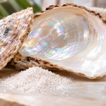 Concha de nácar o madreperla con polvo nacarado utilizado en cosmética