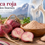 Maca roja para los huesos: osteoporosis, osteopenia y salud ósea
