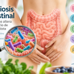 Disbiosis intestinal y equilibrio de la microbiota, barrera intestinal y eje intestino-cerebro