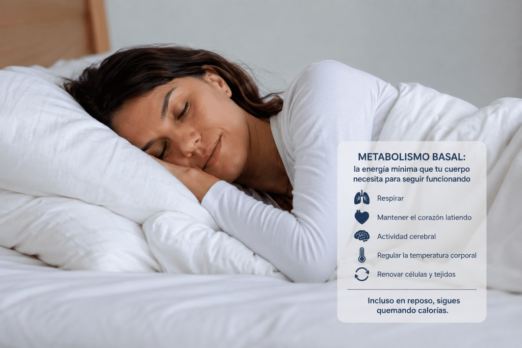 Metabolismo basal
