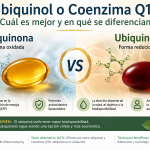 Coenzima Q10 y fatiga durante el ejercicio físico y la recuperación muscular