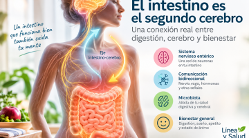El intestino es el segundo cerebro y se comunica con el cerebro mediante el eje intestino-cerebro